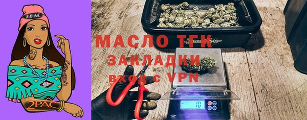 индика Киренск