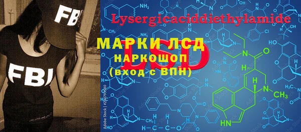 индика Киренск