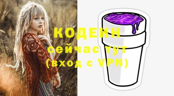 индика Киренск