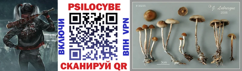 Галлюциногенные грибы Magic Shrooms  Купить закладки  Зерноград 